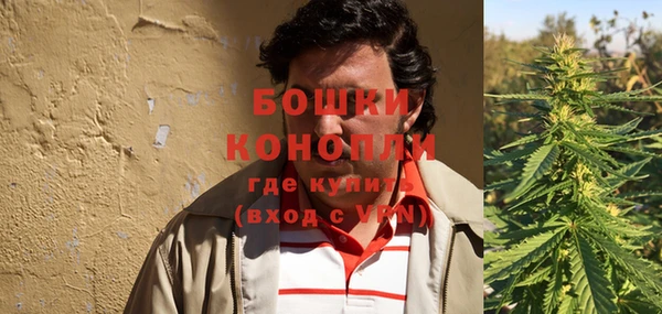 ПСИЛОЦИБИНОВЫЕ ГРИБЫ Богородицк