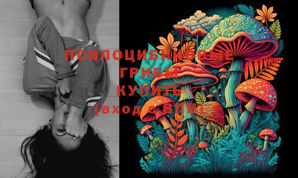 ПСИЛОЦИБИНОВЫЕ ГРИБЫ Богородицк
